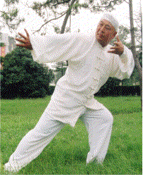 鹞子穿林.gif