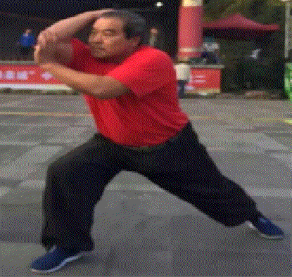 陶11.gif