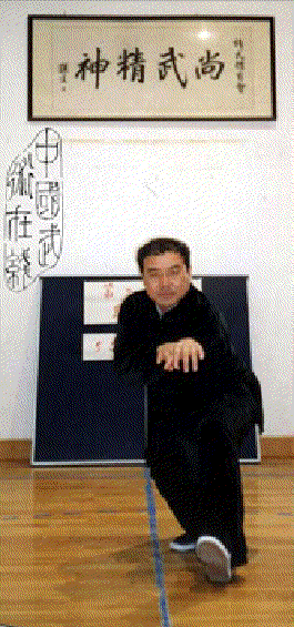 陶3.gif